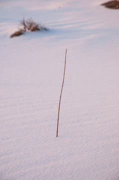 戈壁灘雪景