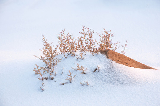 戈壁灘雪景