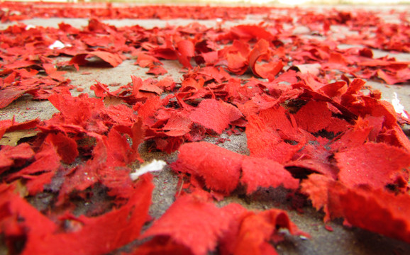 鞭炮紅衣