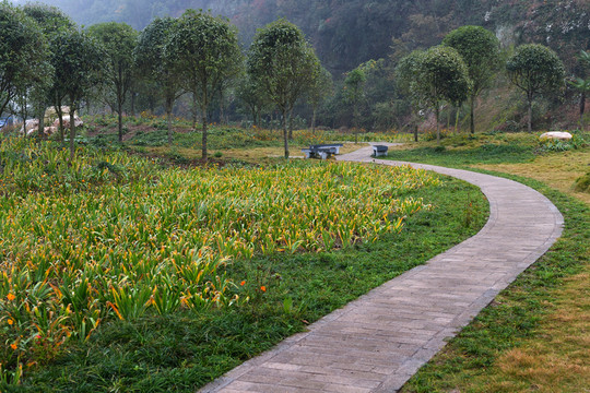 公園小路