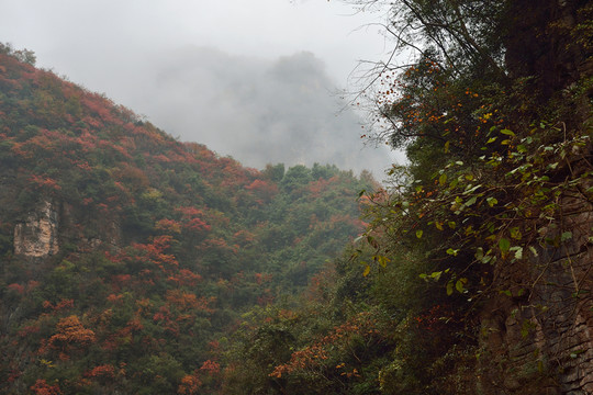 崇山峻嶺