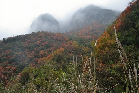 遠安風(fēng)光