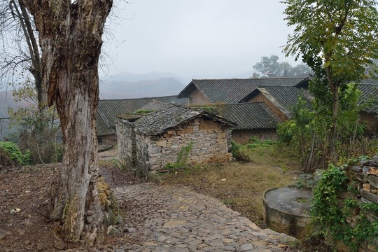農(nóng)村