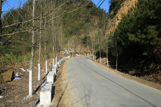 山區(qū)公路