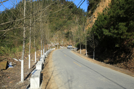 農(nóng)村公路