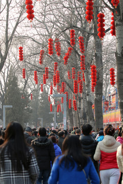 龍?zhí)逗R會人群