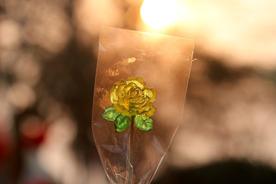 糖畫花