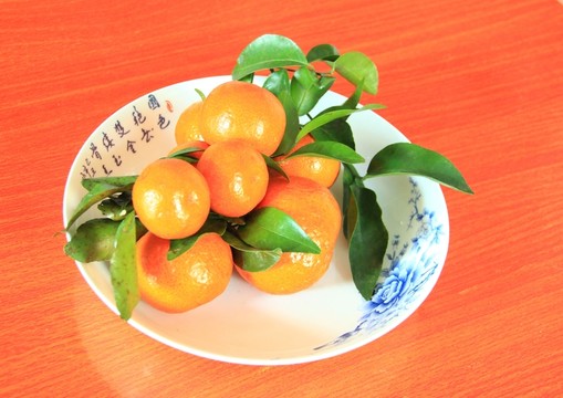 桔子 橘子