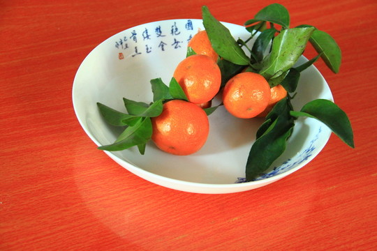 橘子 桔子
