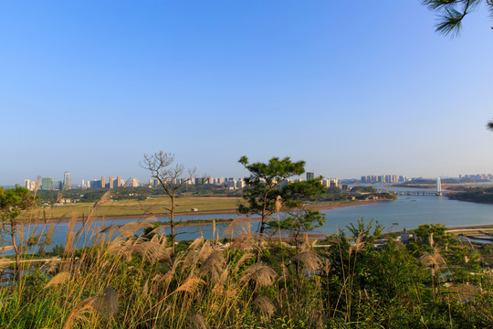 防城港針魚嶺大橋風(fēng)光