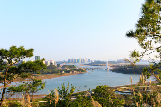 防城港針魚嶺大橋風(fēng)光