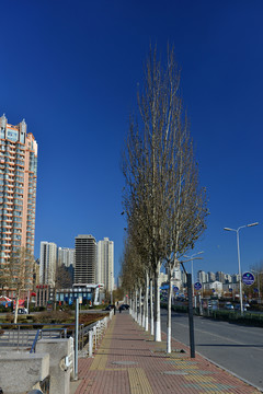 人行道
