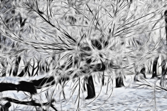 樹林