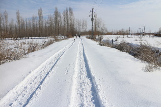 雪地車轍