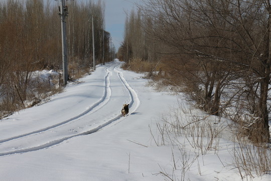 雪路