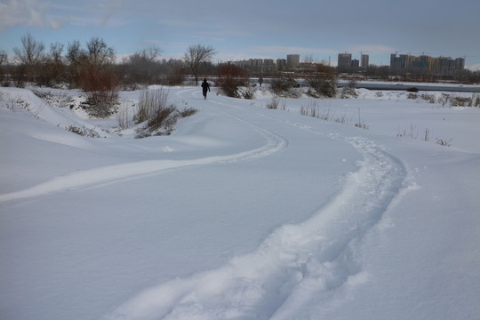 雪路車轍