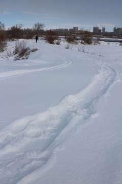 雪路車轍