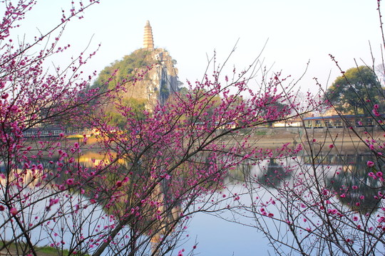 塔山