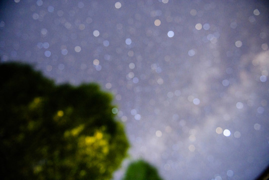 青樸星夢(mèng)