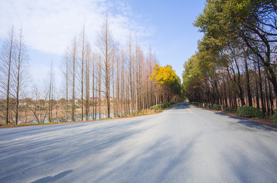馬路