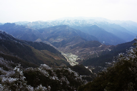冬天雪景