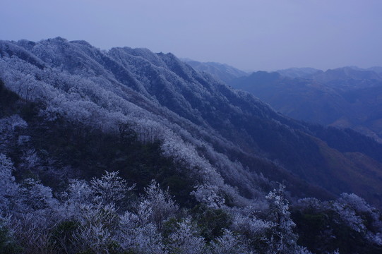 大雪
