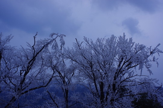 大雪