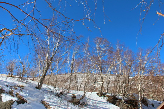 長白山