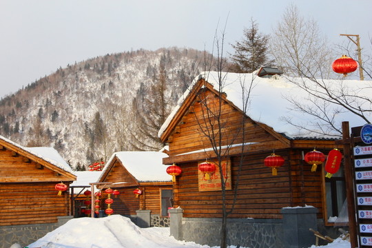 雪鄉(xiāng)新年