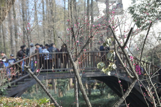 南潯古鎮(zhèn)