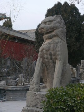 文物古代石獅子