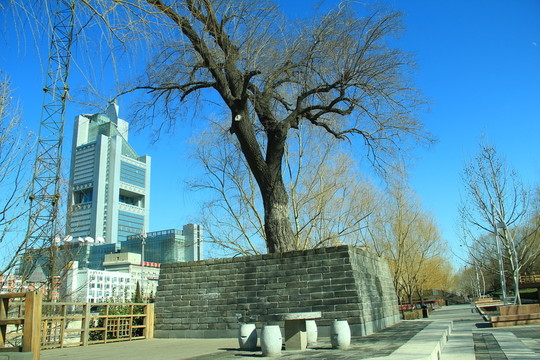 慶豐公園