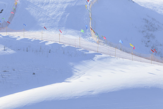 高山滑雪