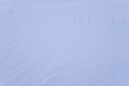 雪地