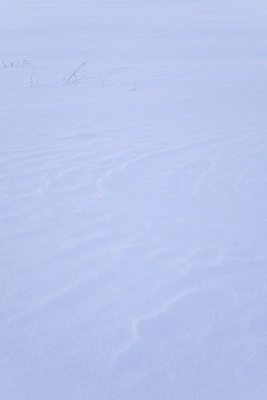 雪地