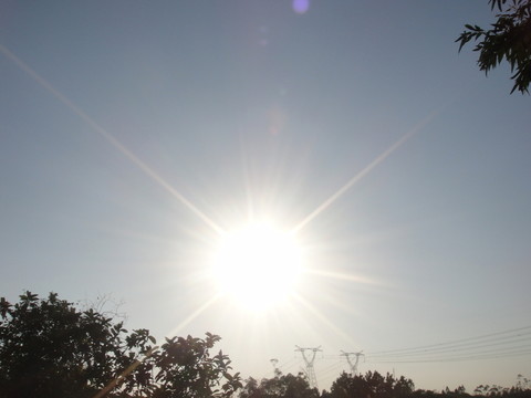 太陽