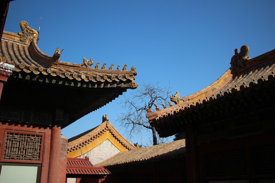 故宮印象