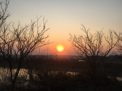 夕陽