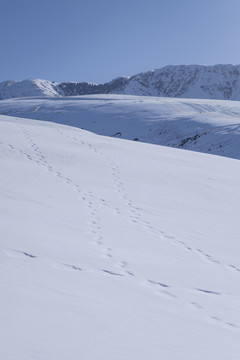 雪山