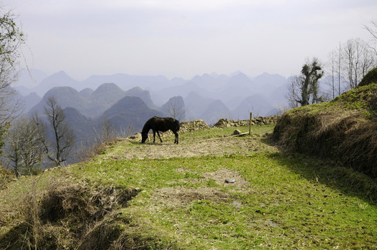 清遠(yuǎn)連南千年瑤寨
