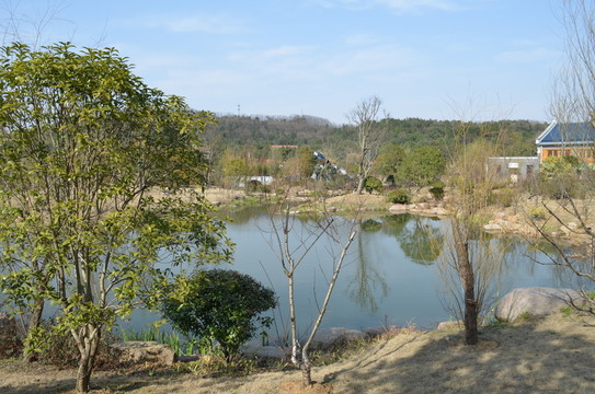 湖水