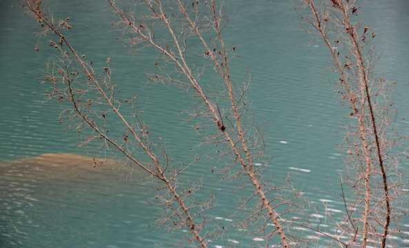 清澈湖水