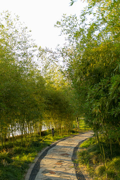 健身步道