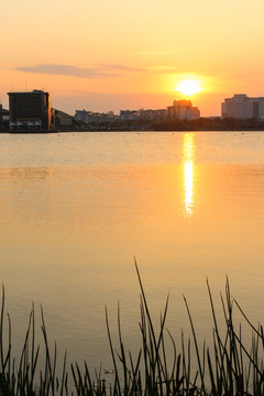 夕陽西下