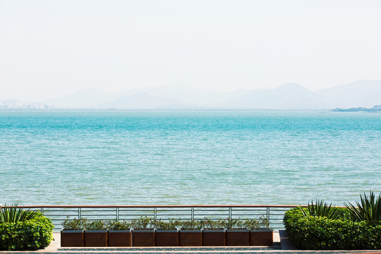 深圳灣