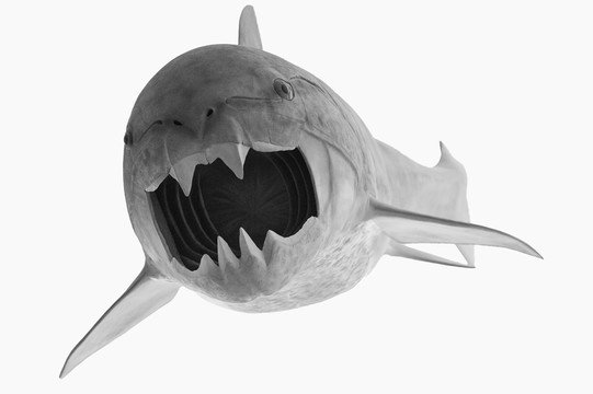 大魚(yú)模型