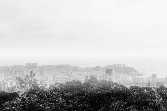 深圳蛇口深圳灣