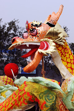 舞龍