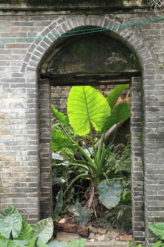 古代房屋