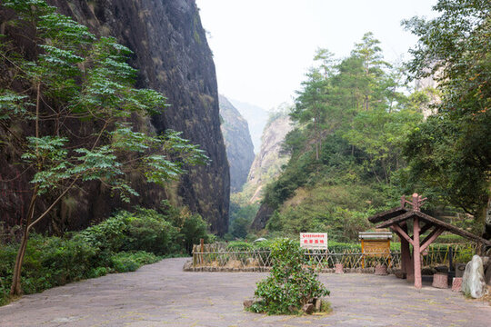 武夷山巖茶園 大紅袍茶園